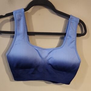 BuffBunny Blue Ombre Sports Bra